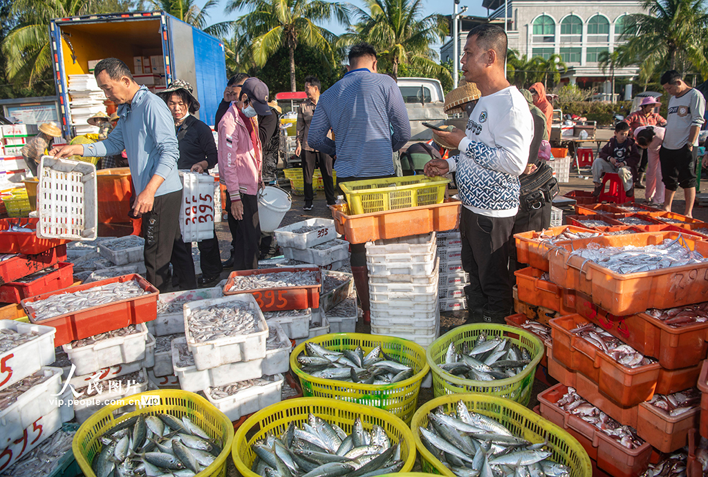 海南琼海：渔港交易忙【6】