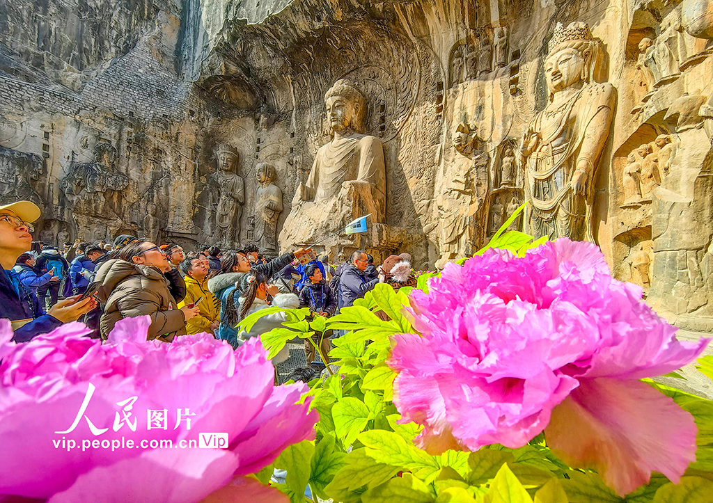 河南洛陽：龍門石窟景區迎來旅游高峰【2】