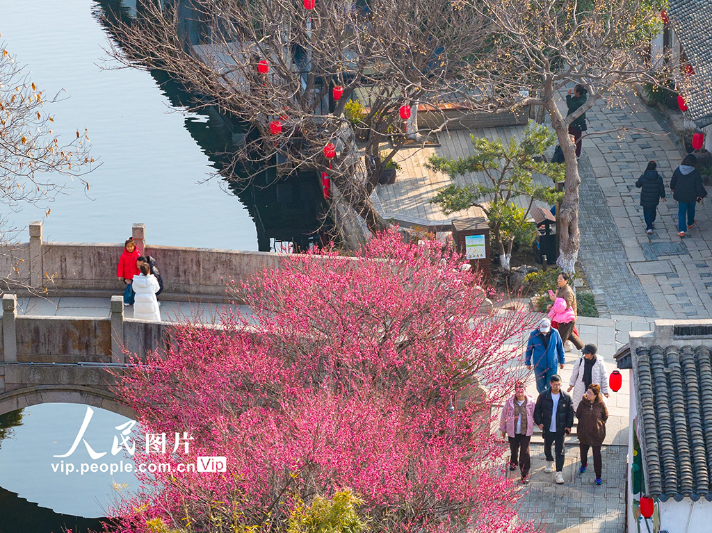 江苏昆山:歇马桥古村春韵【4】