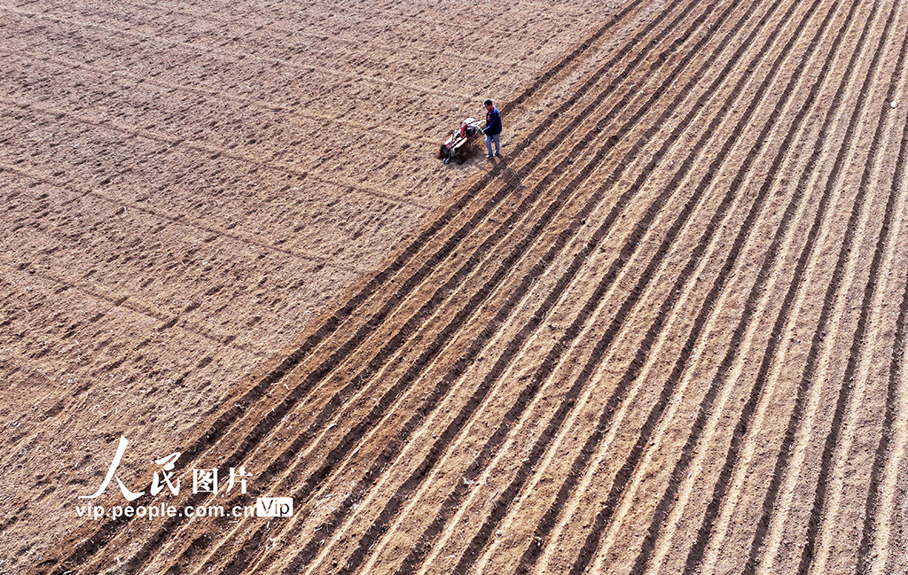 山東棗庄：人勤春來早【3】