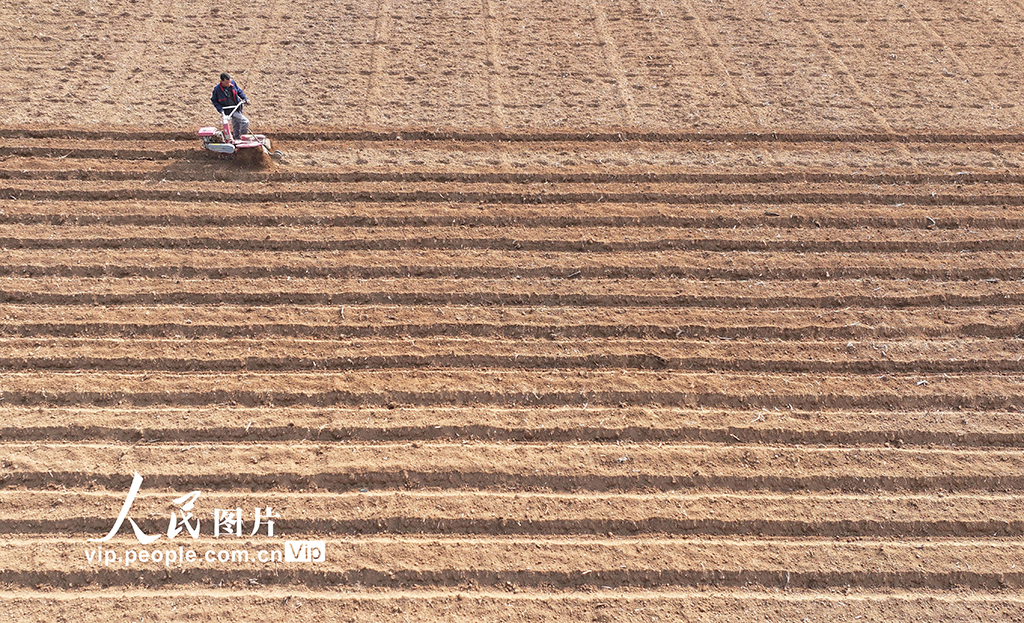 山東棗庄：人勤春來早【5】