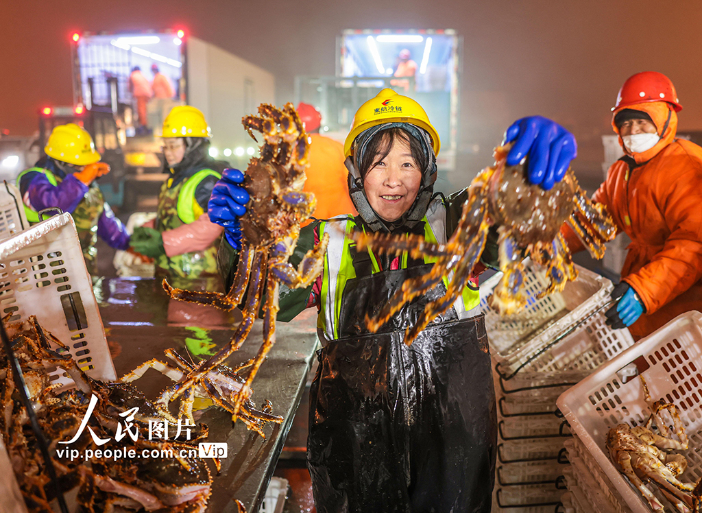 山东荣成：帝王蟹抢“鲜”通关 供应春节市场【3】