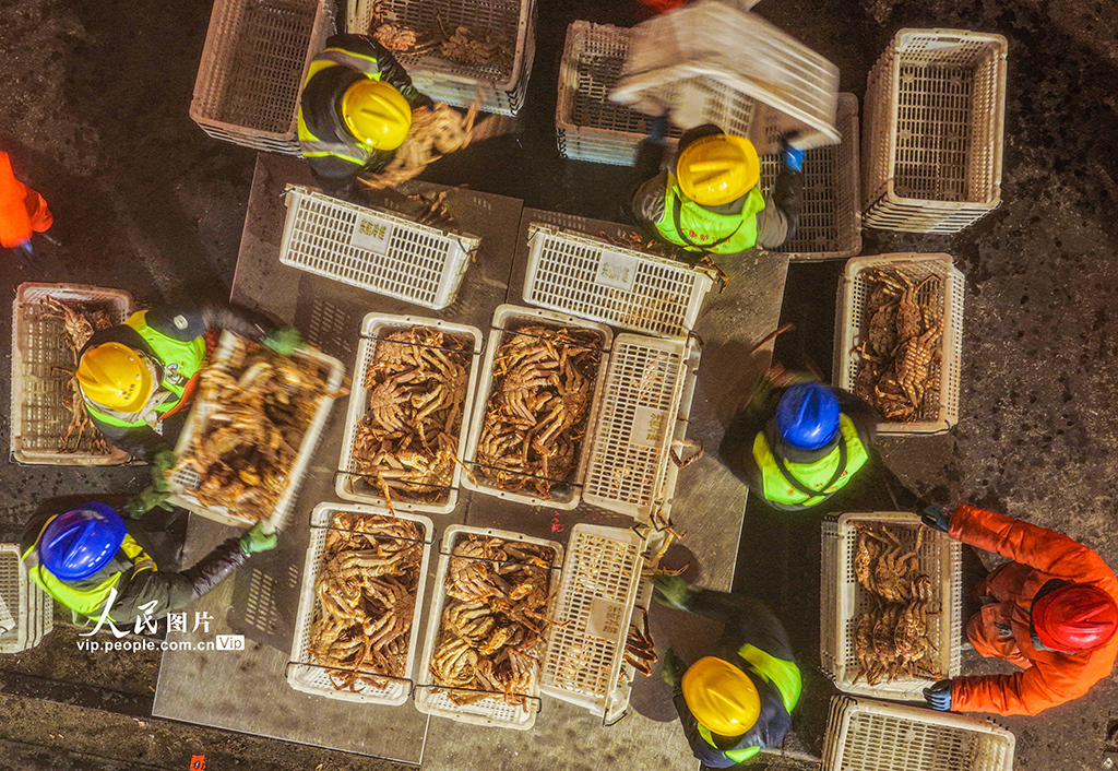 山东荣成：帝王蟹抢“鲜”通关 供应春节市场【6】