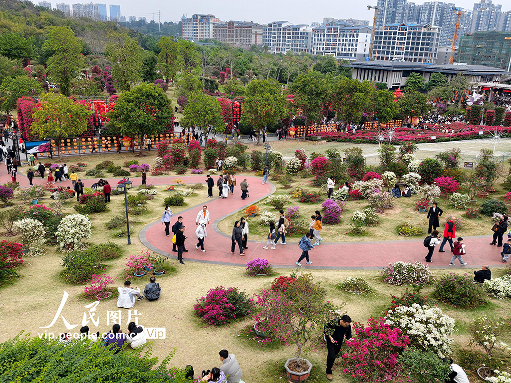 廣西南寧: 賞花踏青享春光【4】