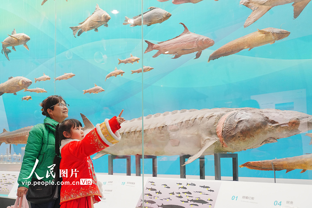 重庆：博物馆里度假期