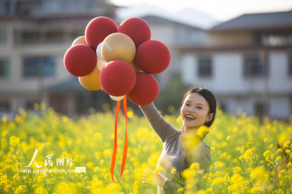 廣東平遠：油菜花開【3】