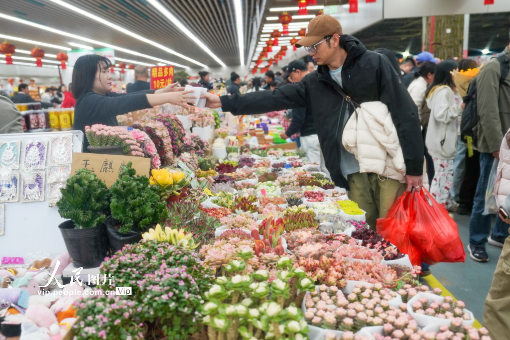 云南昆明：斗南花卉市场人气旺【3】