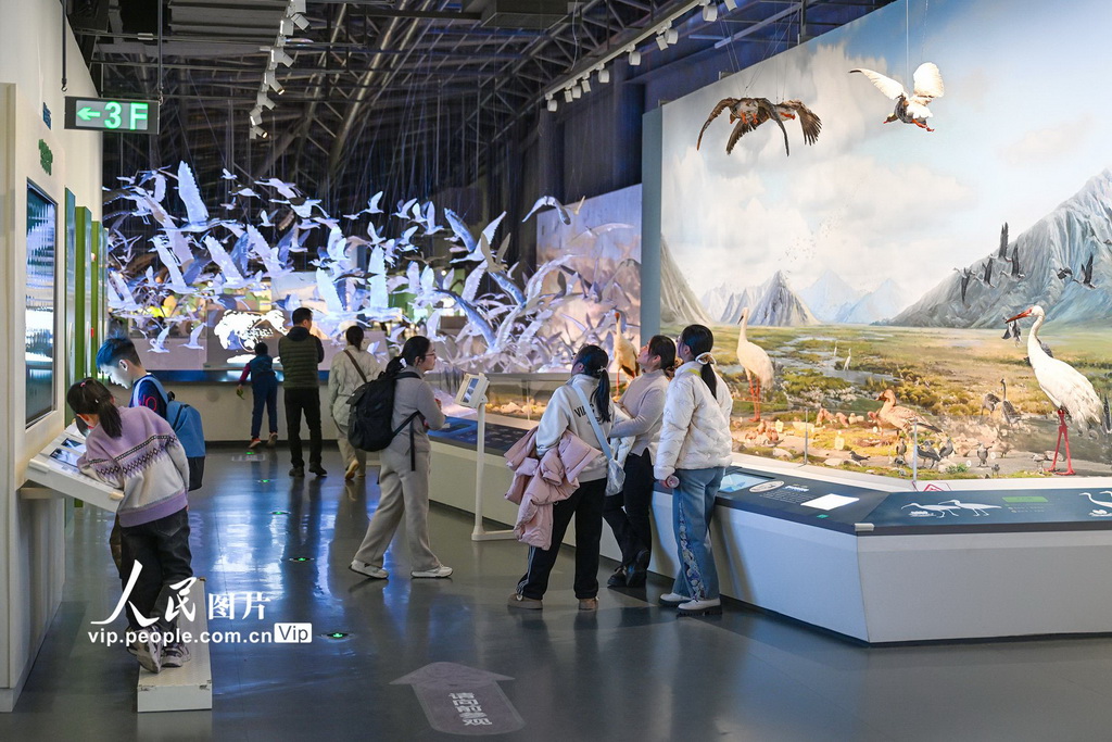 江苏盐城：湿地博物馆观展【3】