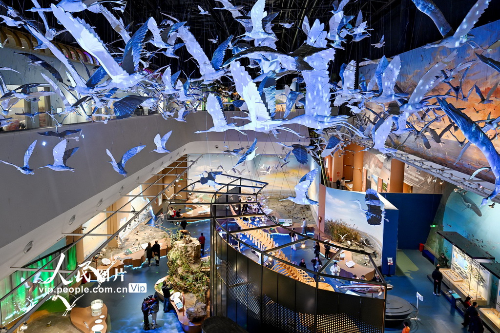 江苏盐城：湿地博物馆观展【4】