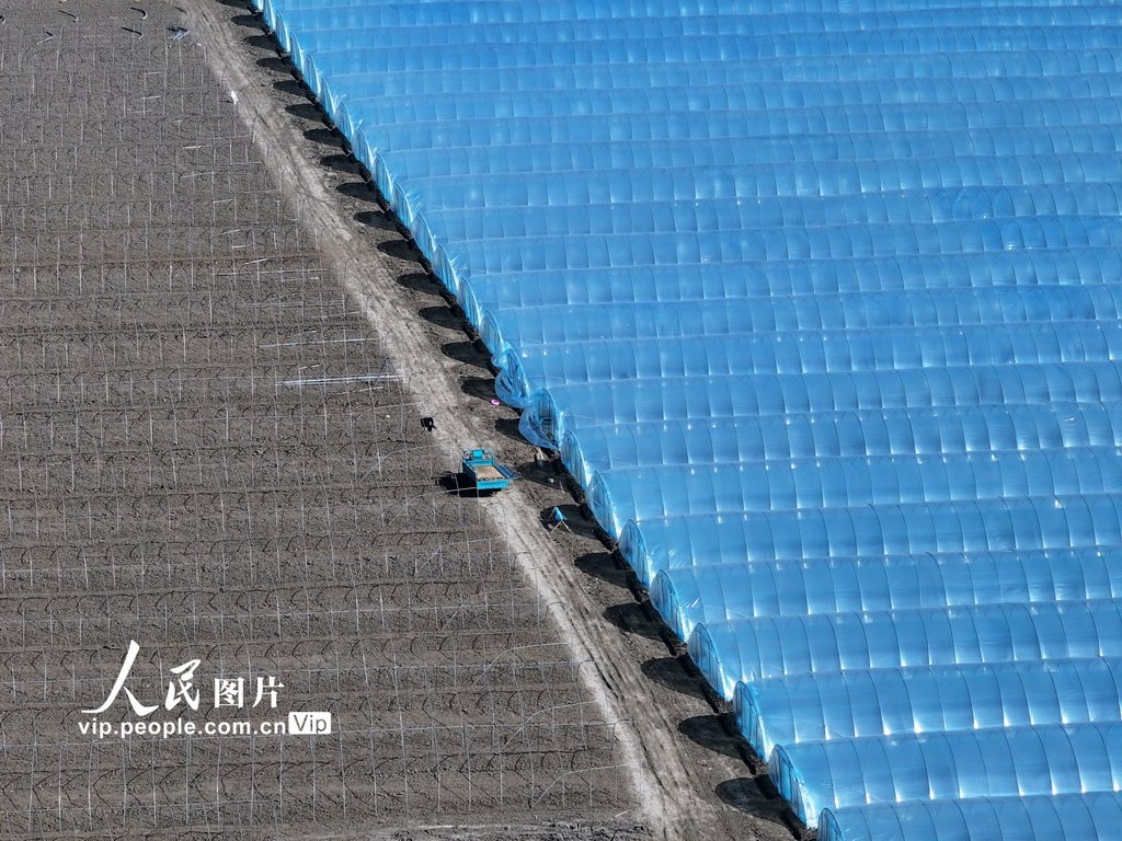 安徽蒙城：春回大地農事正忙【3】