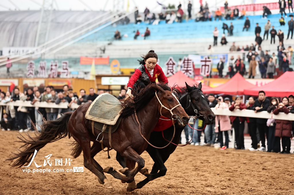 贵州三都:策马扬鞭闹新春【3】