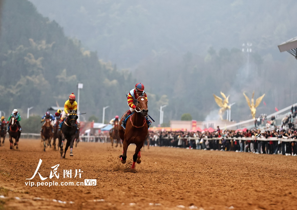 贵州三都：策马扬鞭闹新春【7】