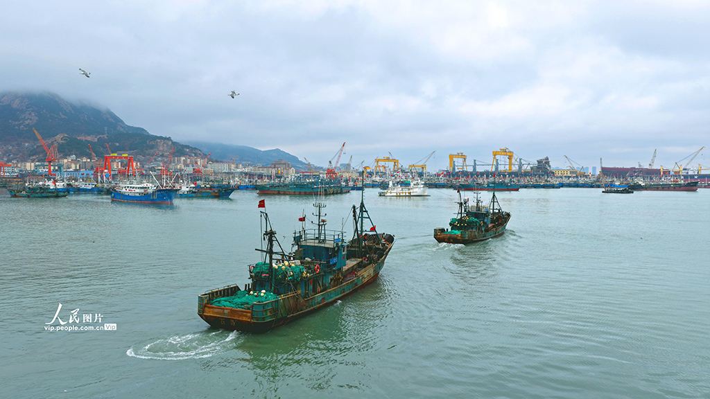 山东荣成:出海作业【3】