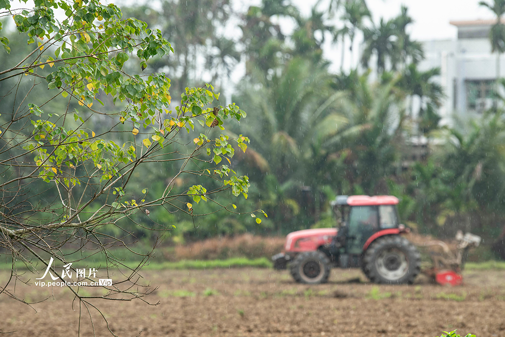 海南琼海:好雨知时节 春雨伴春耕【2】