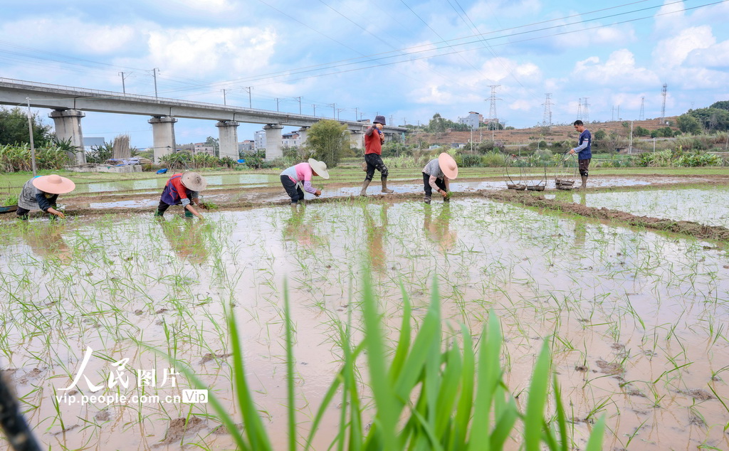 廣西梧州：春耕正當時【2】