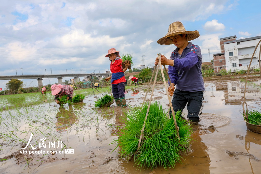 廣西梧州：春耕正當時【4】