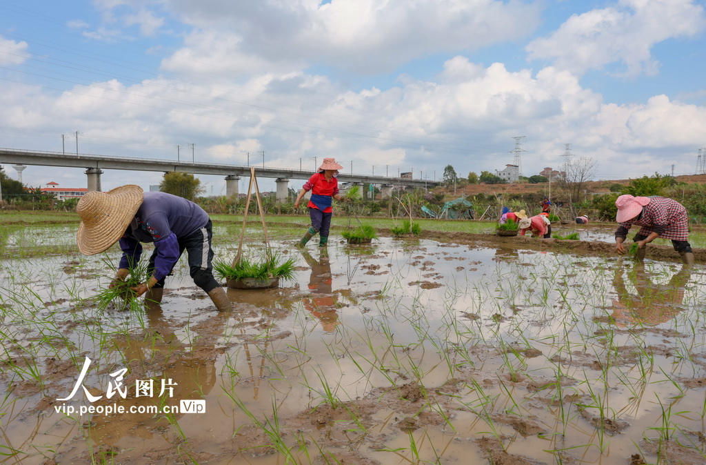 廣西梧州：春耕正當時【5】