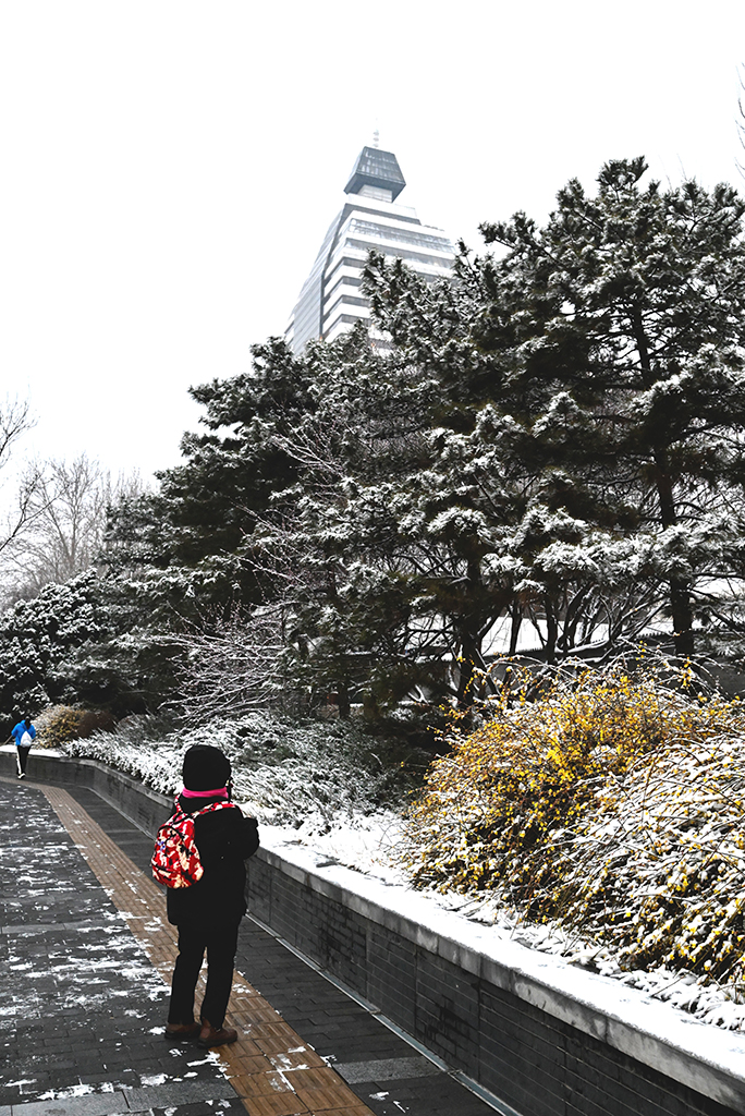 3月5日，行人在北京宣武門西大街路邊拍攝雪景。新華社記者 陳曄華 攝