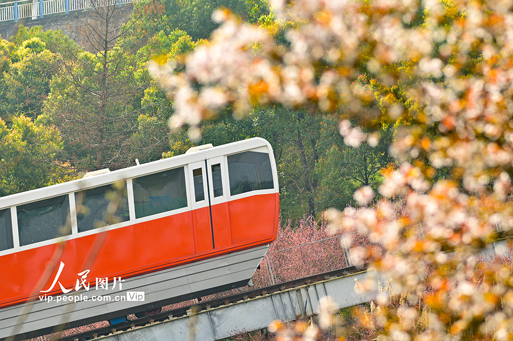重庆：开往春天的列车【2】