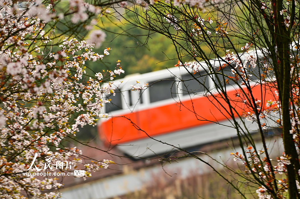 重庆：开往春天的列车【6】