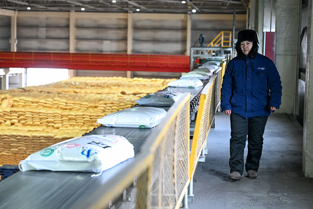 在位於新疆昌吉回族自治州瑪納斯縣的新疆中能萬源化工有限公司,工作人員在包裝車間巡檢(3月5日攝)。