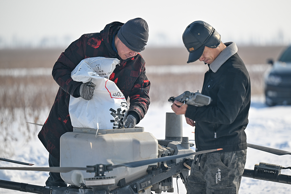 在新疆昌吉回族自治州瑪納斯縣樂土驛鎮，工作人員將播撒的返青肥料倒入無人機（3月4日攝）。