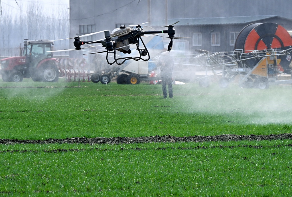 3月6日,在青島市即墨區藍村街道壯武村,植保無人機進行噴防演示。