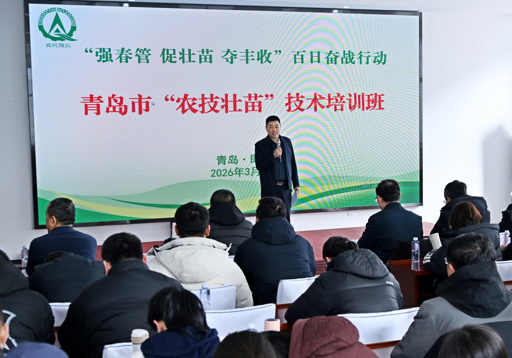 3月6日,在青島市即墨區藍村街道,人們在“農技壯苗”技術培訓班上學習。