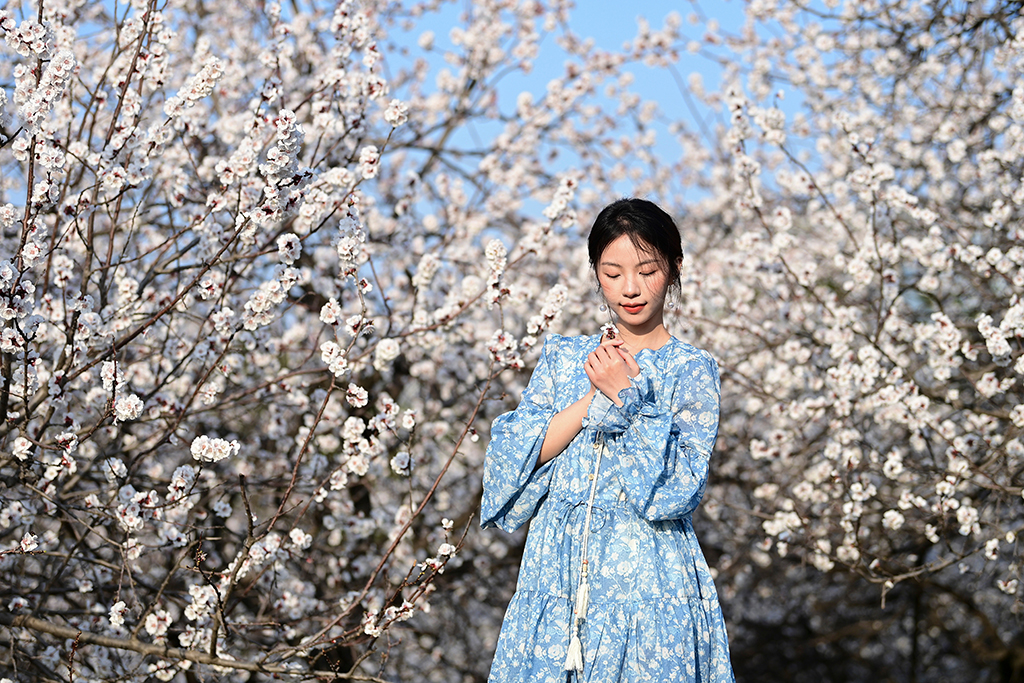 3月9日，游人在西安大明宮國家遺址公園賞花留影。