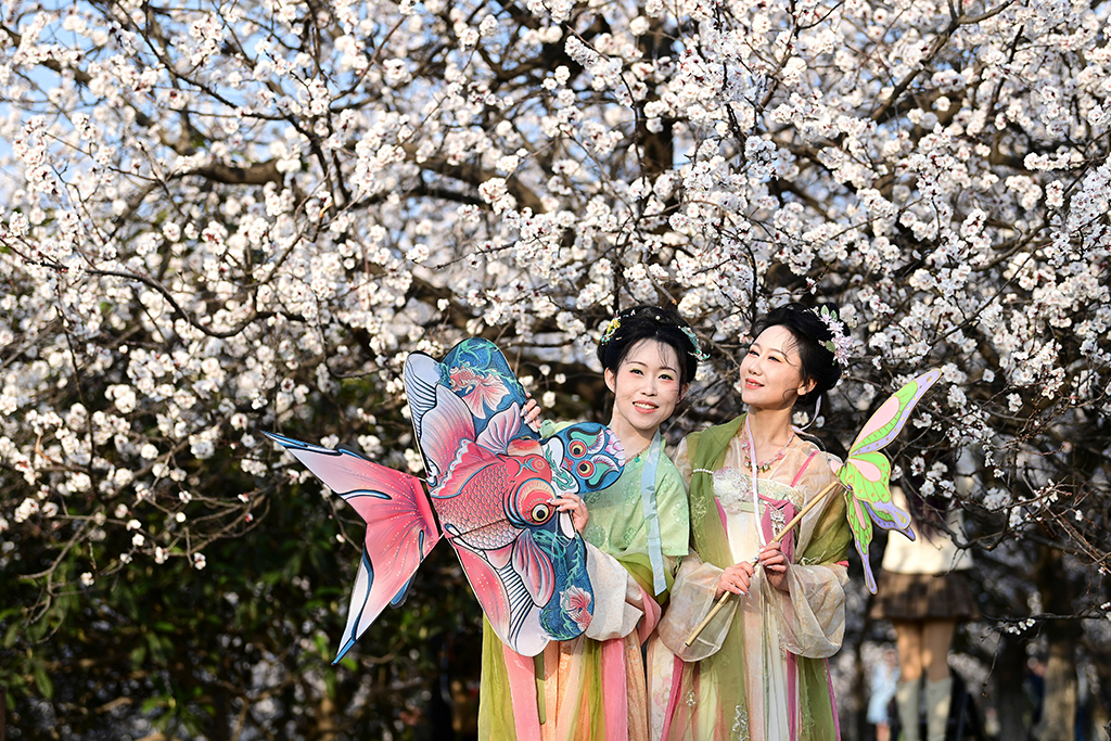 3月9日，游人在西安大明宫国家遗址公园赏花留影。