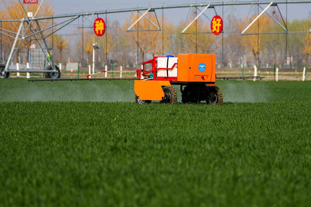 3月9日,噴藥機器人在田間噴洒農藥。