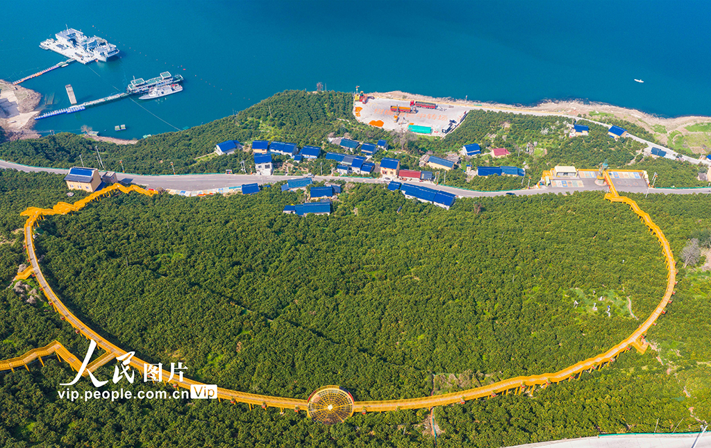 湖北秭歸:春橙飄香助增收【6】