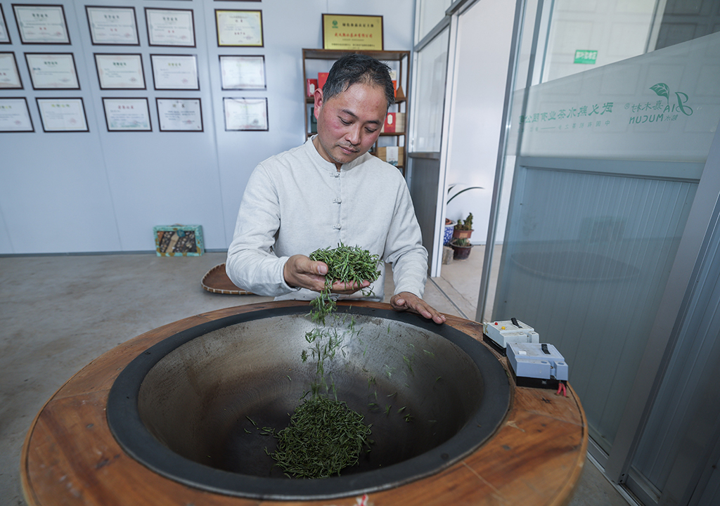 3月10日，金華市非物質文化遺產“武陽春雨制作技藝”代表性傳承人、全國技術能手鮑王棟在炒制今年首批“武陽春雨”春茶。