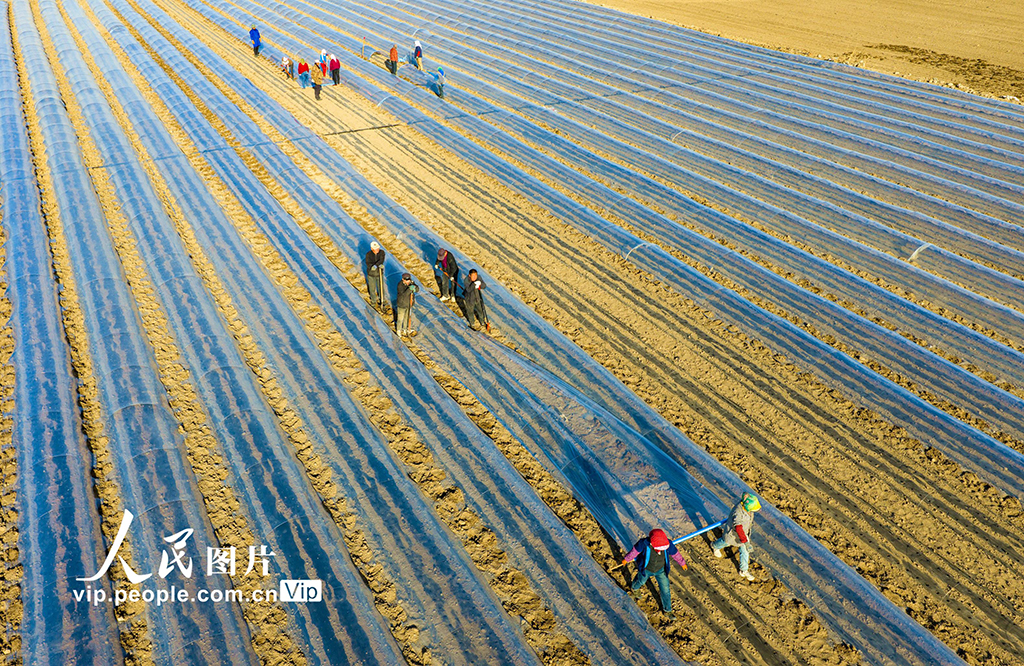 甘肃张掖:搭建小拱棚【5】