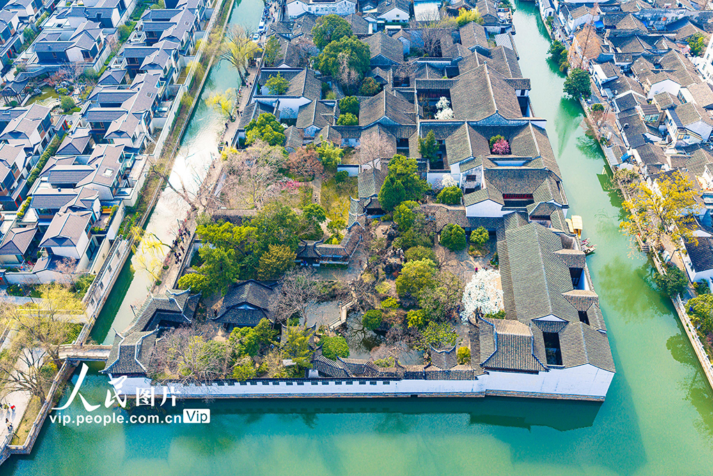 江蘇蘇州:耦園玉蘭花盛開春色濃【7】