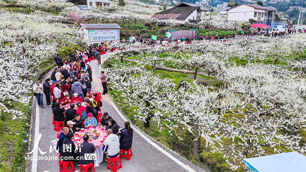 四川宣漢：以“花”為媒 樂游鄉村【2】