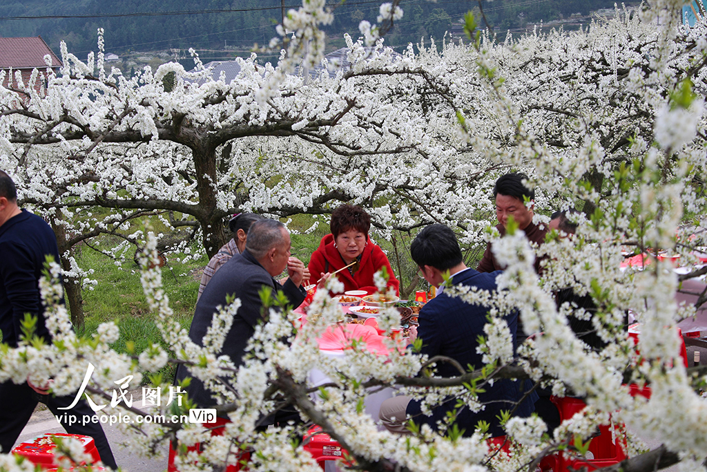 四川宣漢：以“花”為媒 樂游鄉村【6】