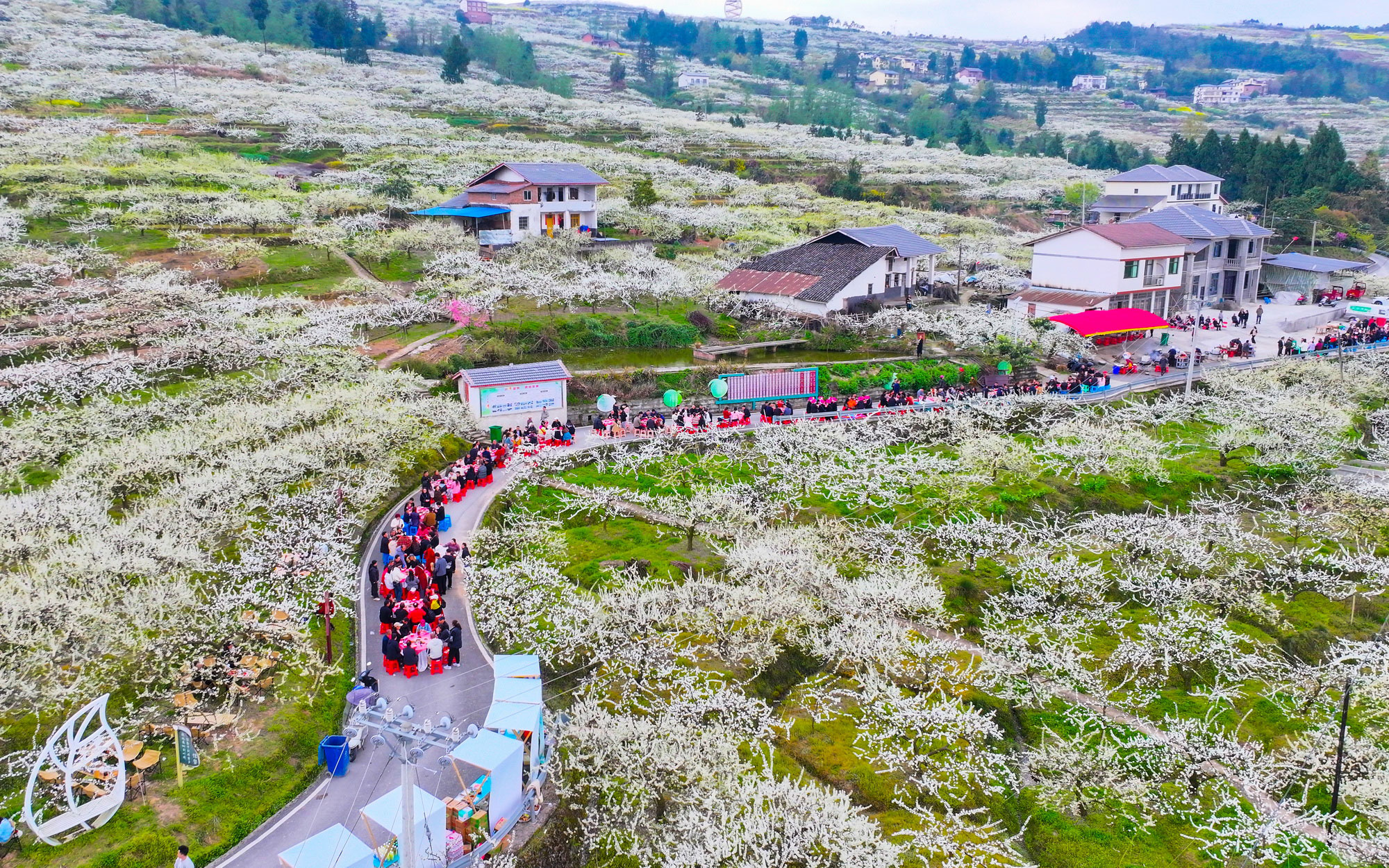 以“花”为媒 乐游乡村