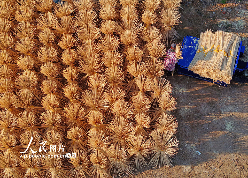 江西泰和：晾晒竹制品