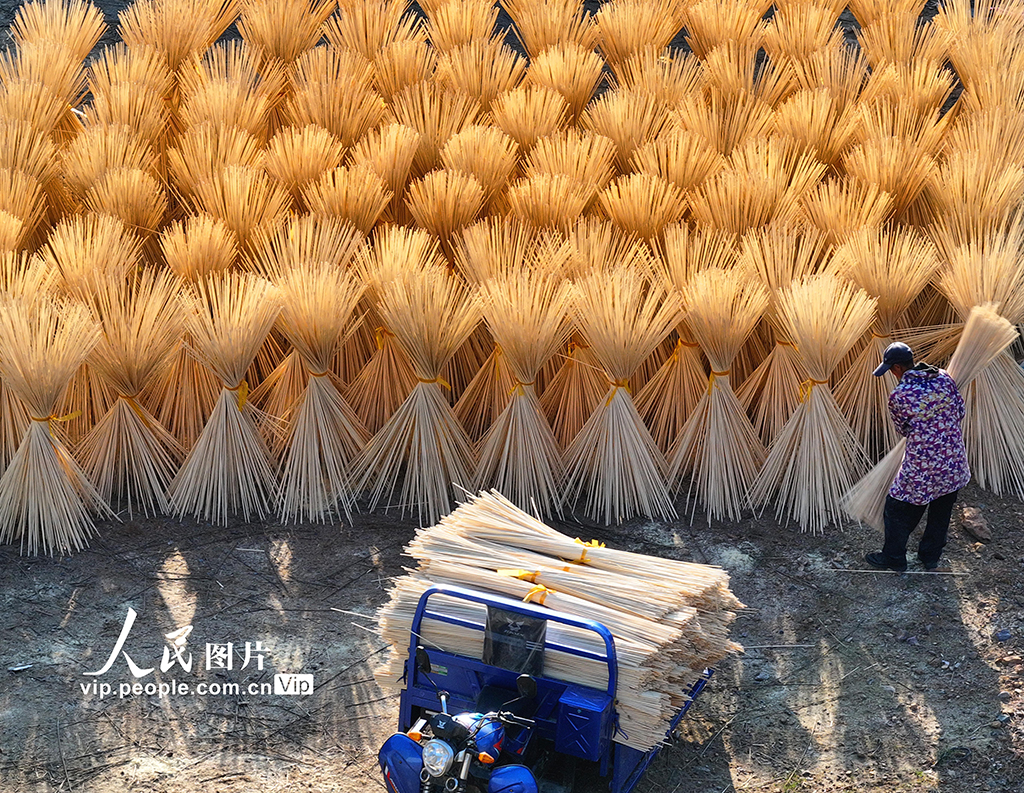 江西泰和：晾晒竹制品【4】