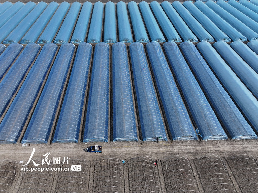 安徽蒙城：管護西瓜大棚【4】