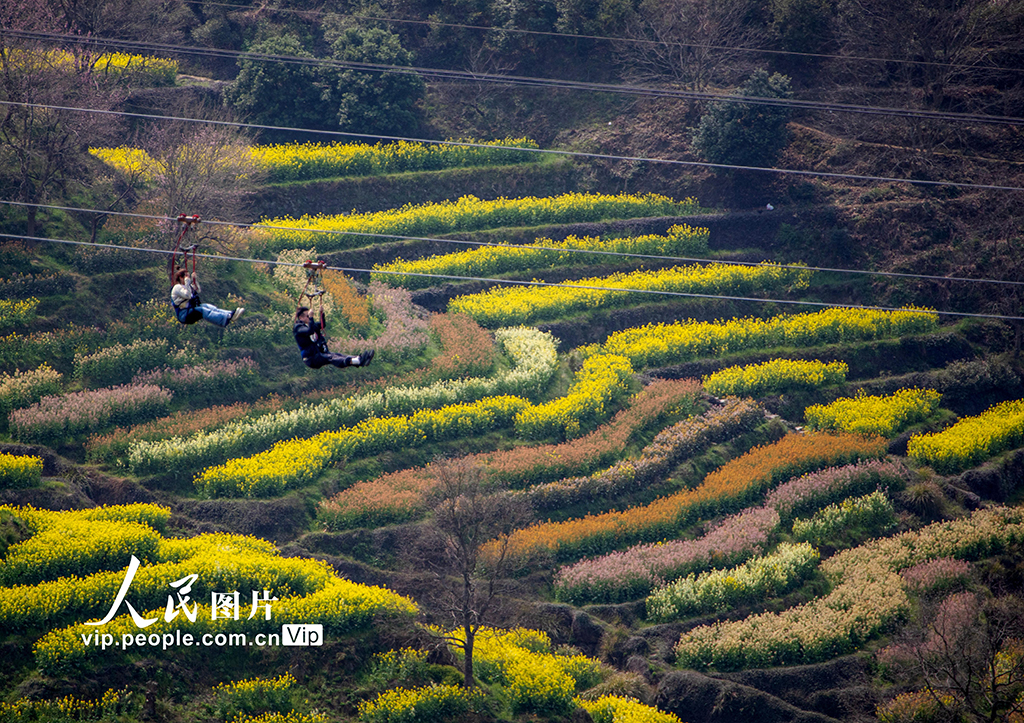 江西婺源：篁嶺景區游人如織【4】