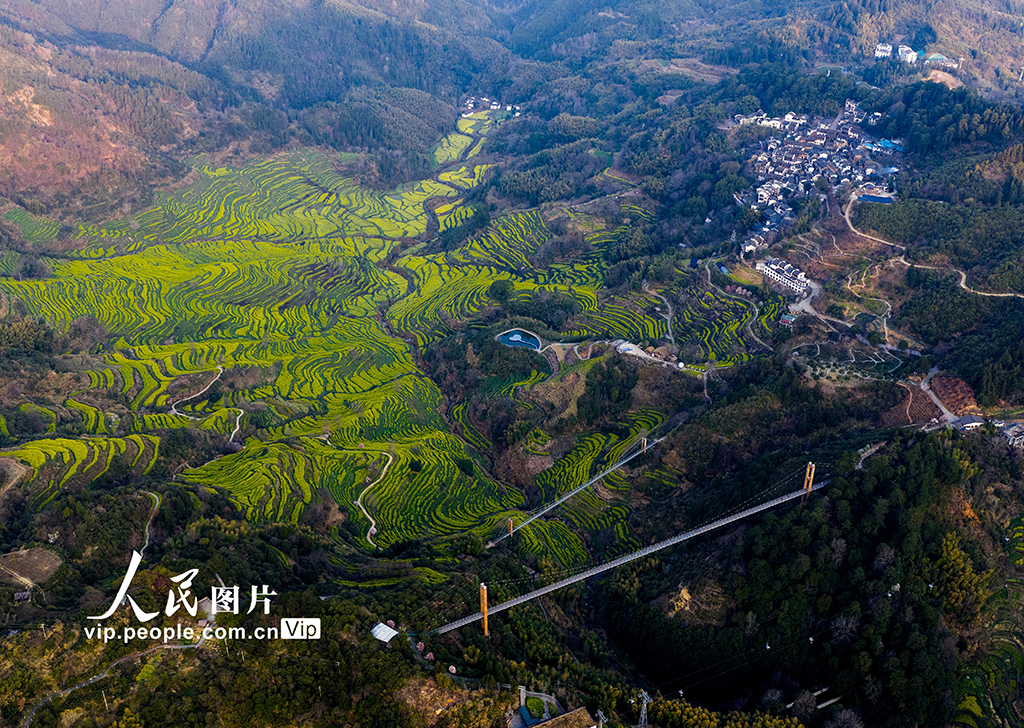 江西婺源：篁嶺景區游人如織【3】