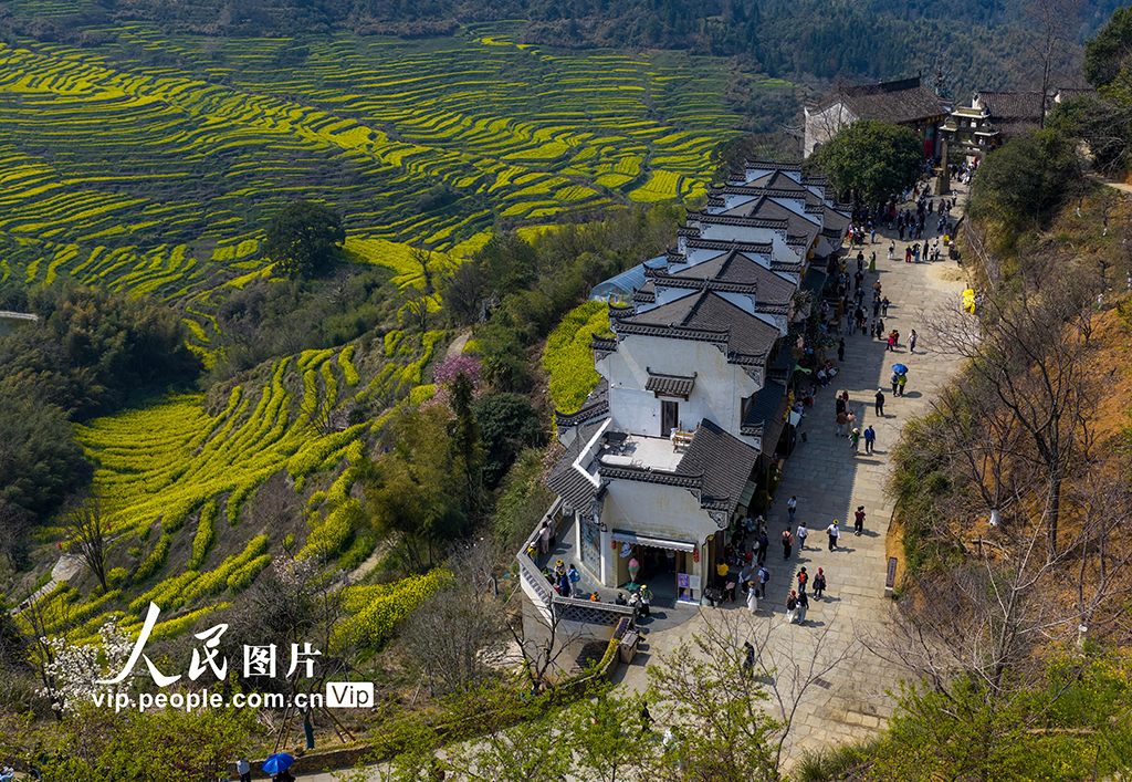 江西婺源:篁岭景区游人如织【6】