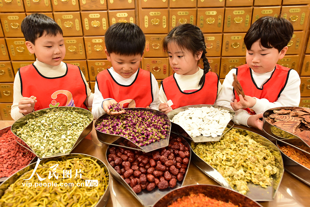 江苏东海:了解中医药知识【4】