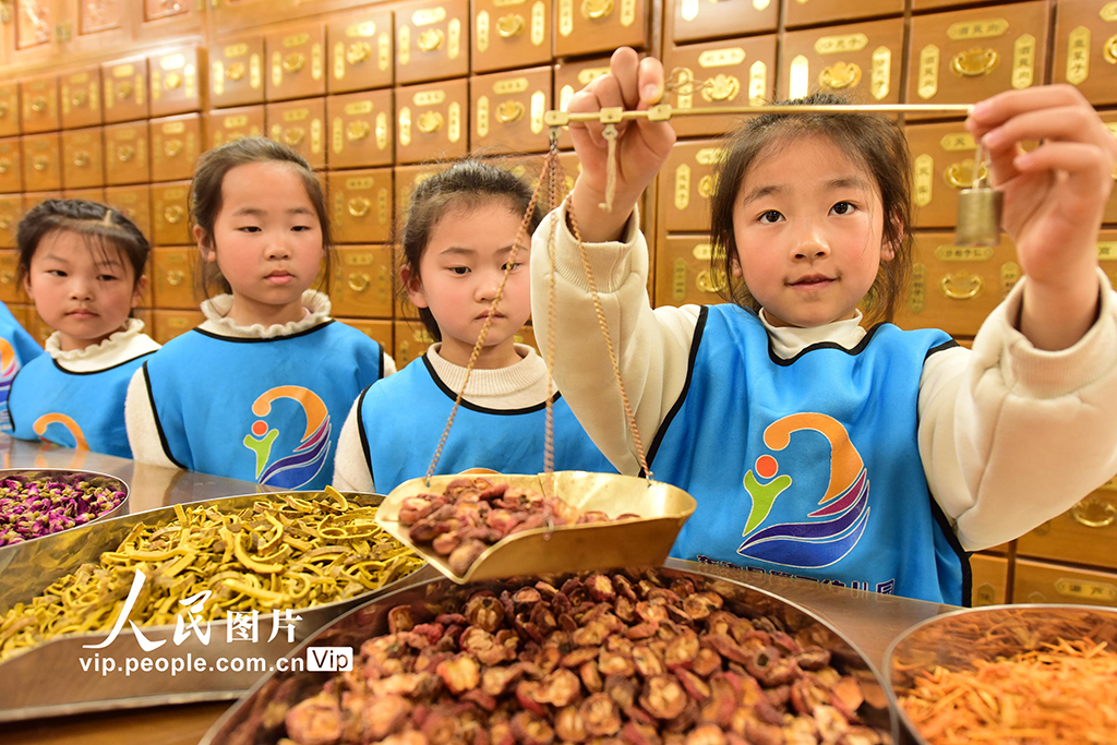 江蘇東海：了解中醫藥知識【5】