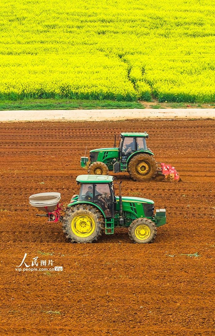 湖南永州：抢抓农时忙春耕【2】