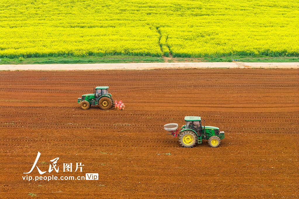 湖南永州：抢抓农时忙春耕【3】