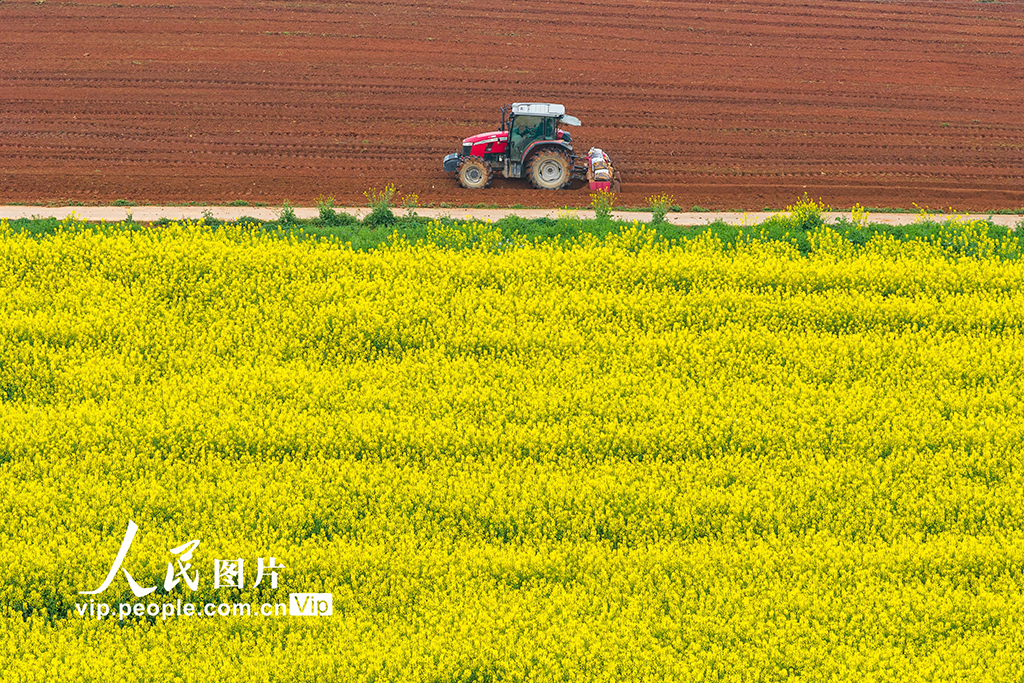 湖南永州：抢抓农时忙春耕【5】