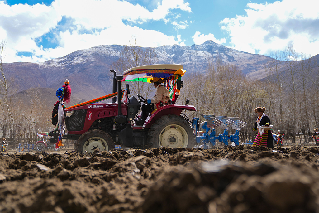 3月16日，西藏山南市结巴乡结巴村村民身着盛装，在新犁开的田地上播撒种子。